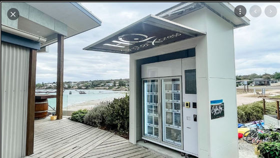 Máy bán hàng tự động tủ khóa đông lạnh thanh toán bằng đầu đọc thẻ cho thịt đông lạnh, hàu, hải sản