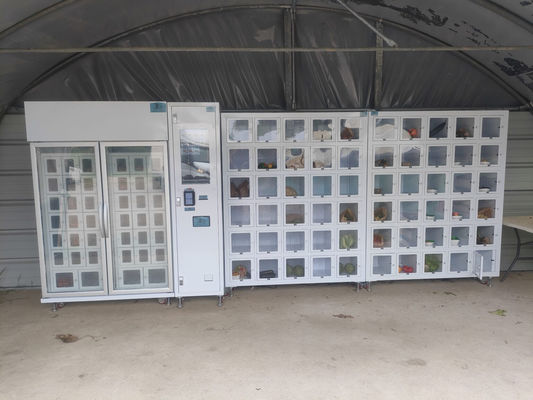 Máy bán hàng tủ khóa tùy chỉnh Quản lý thời gian tồn kho thực cho hàng hóa tiên tiến