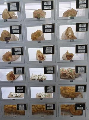 Máy bán hàng tự động tủ khóa 40 ngăn với thiết kế vệ sinh và hệ điều hành Android 11