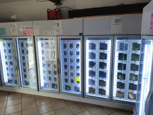 Máy phân phối trứng Android 11 cho các nhà sản xuất nông nghiệp quy mô nhỏ 24/7 thuận tiện và hiệu quả